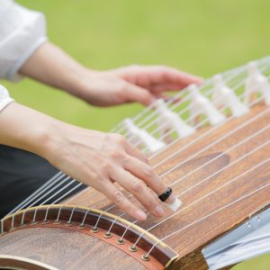 お箏の体験教室に行くメリットは？