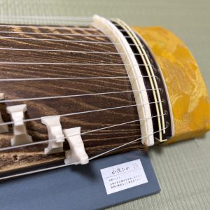 【マンションでも大丈夫？】現代の箏の練習事情